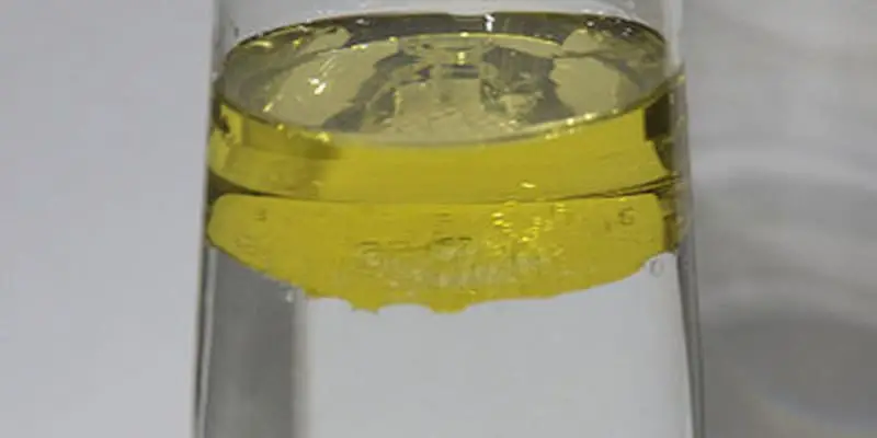 water with oil STEM activity