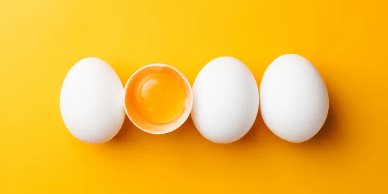 Eggs for STEM Activity