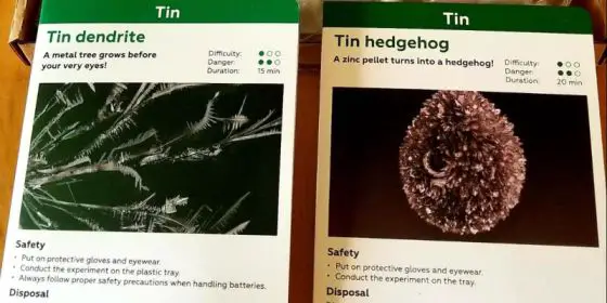 tin dendrite and tin hedgehog chemistry experiment for kids