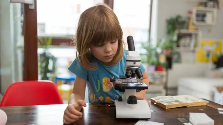 Best Microscope for Homeschool