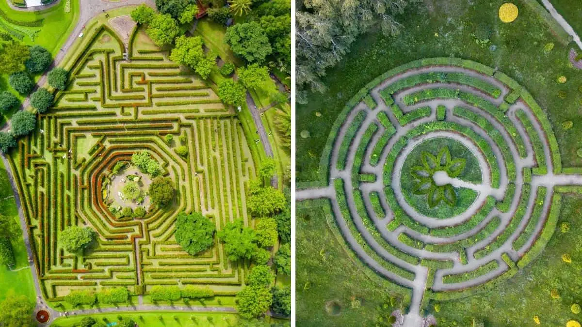 Maze vs Labyrinth: What's The Difference?