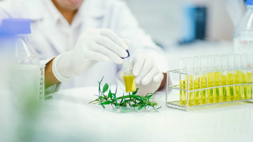 Scientist Studying Essential Oils In A Lab