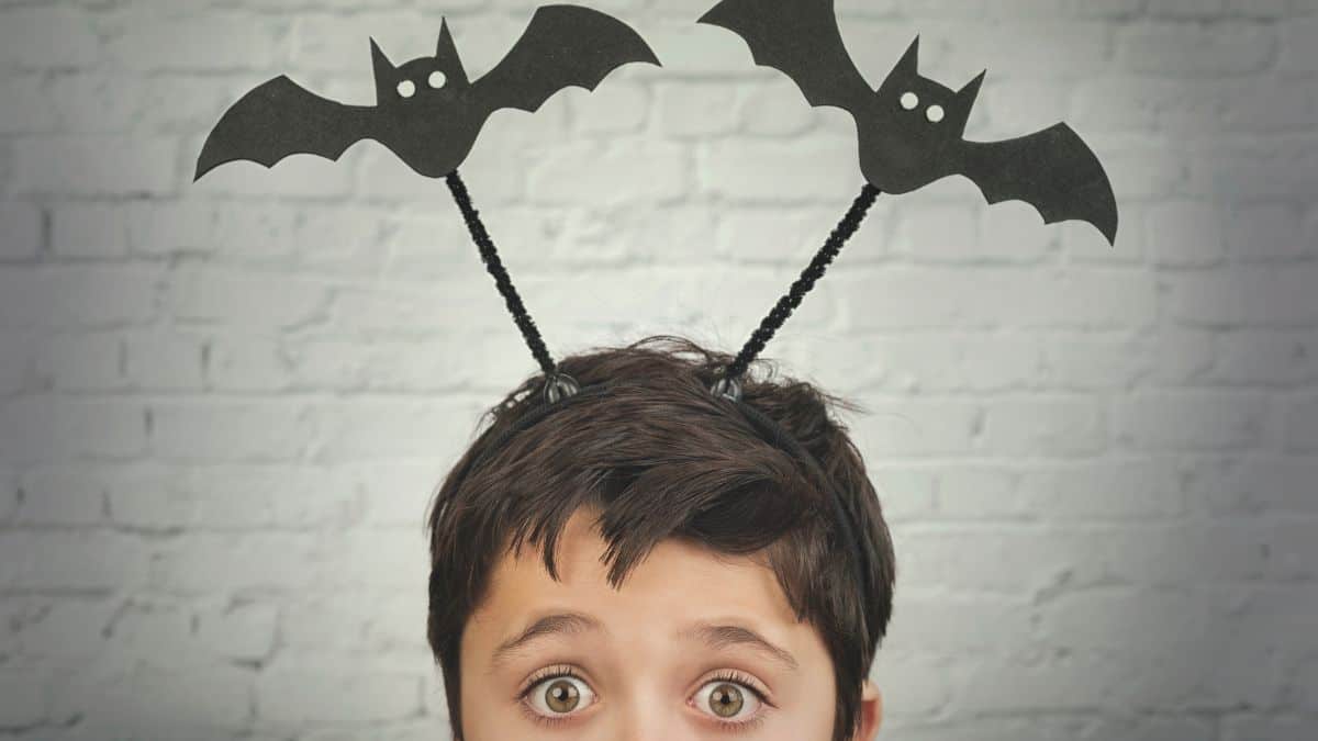 Child Wearing A Hat With Two Bats