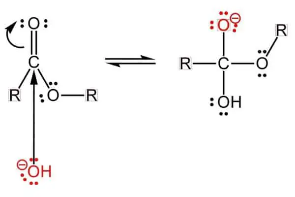 Saponification Nucleophilic Addition